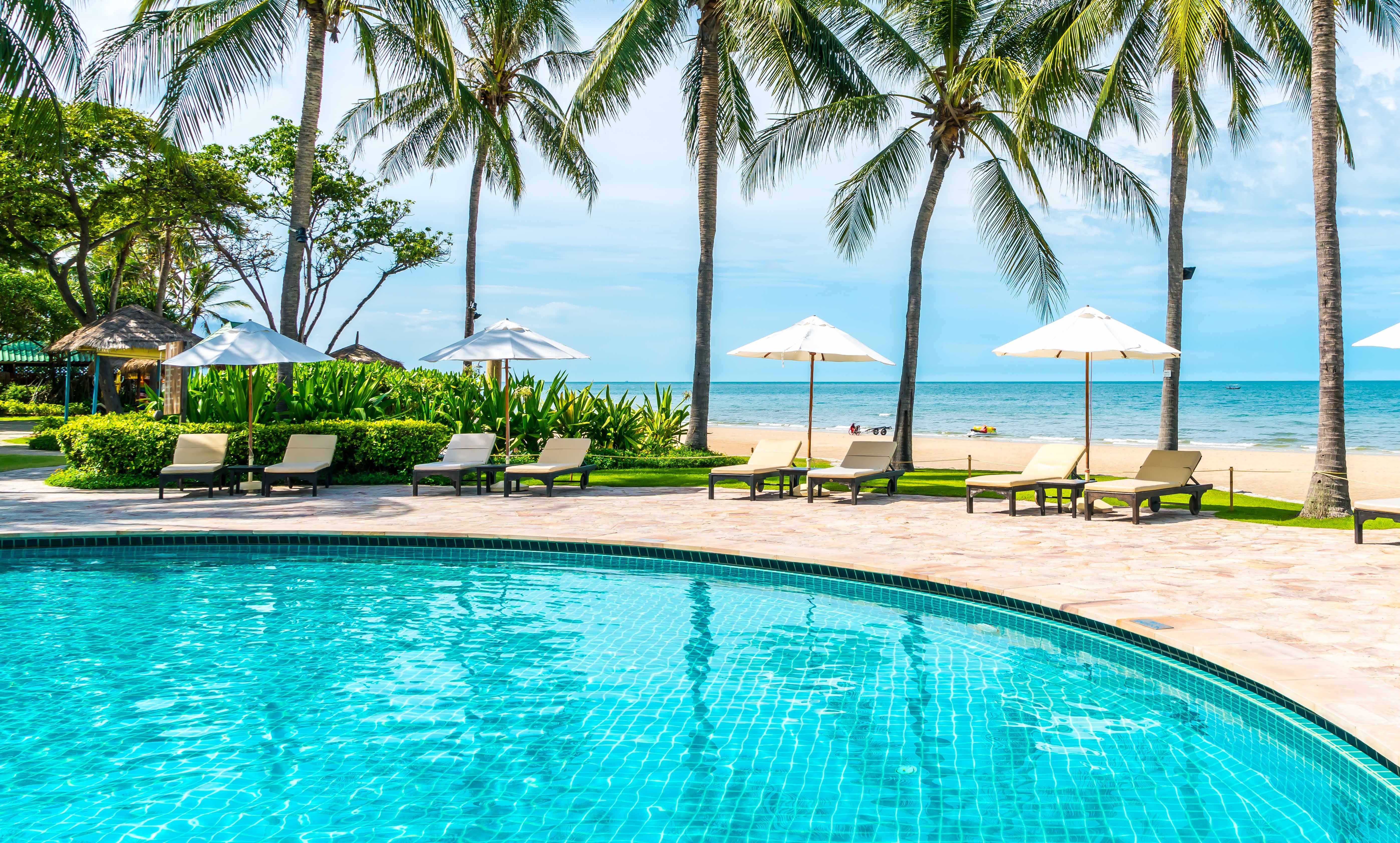 Pool with view of Palm trees and Ocean on the horizon